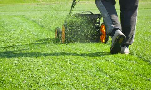 Man mowing the lawn