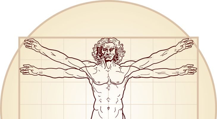 The Vitruvian man